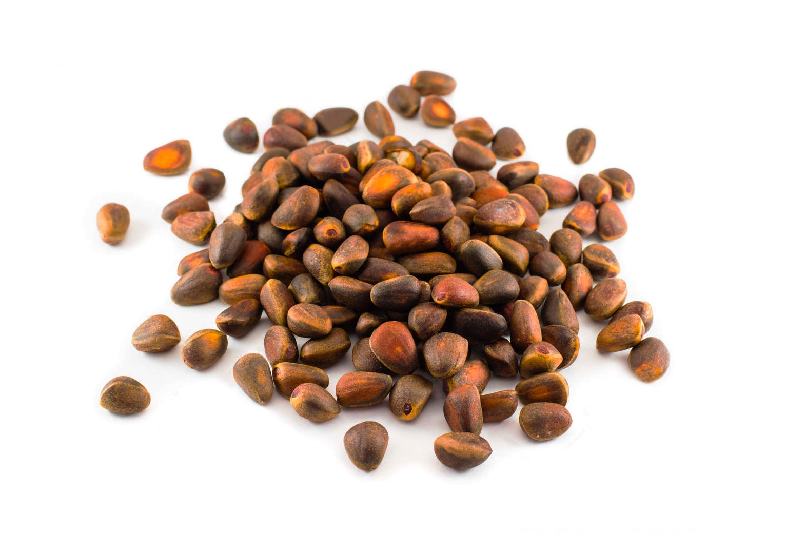 Кедровый орех в скорлупе жареный