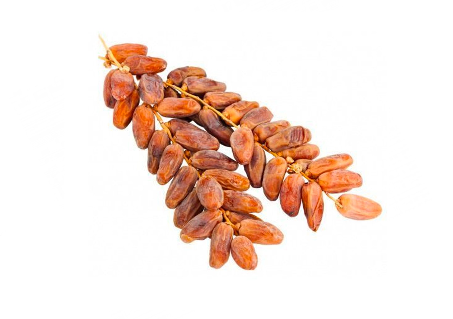 Финик на ветке