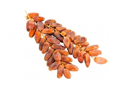 Финик на ветке