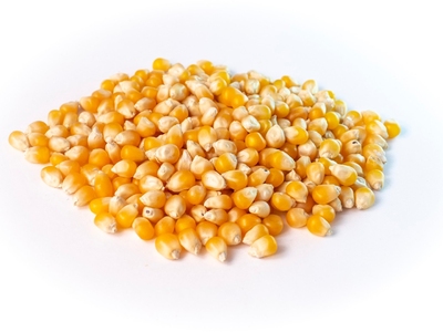 Зерна кукурузы для попкорна