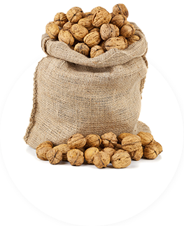 Грецкий орех